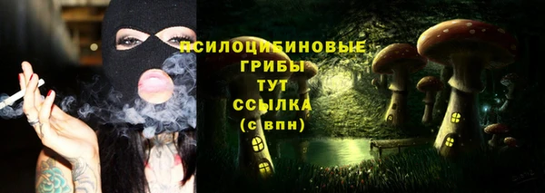 мяу мяу кристалл Ельня