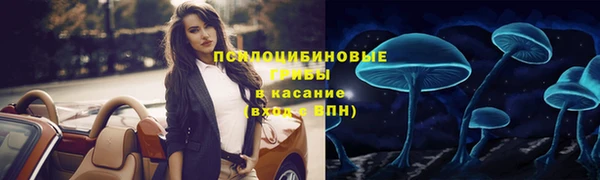 mdpv Елизово