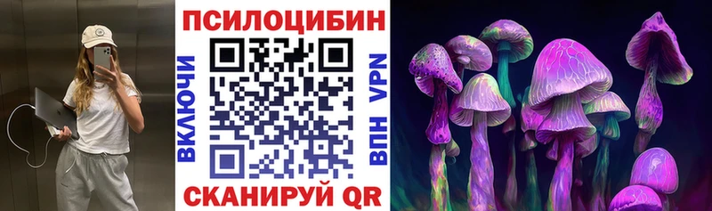 Купить  Надым  Псилоцибиновые грибы прущие грибы 